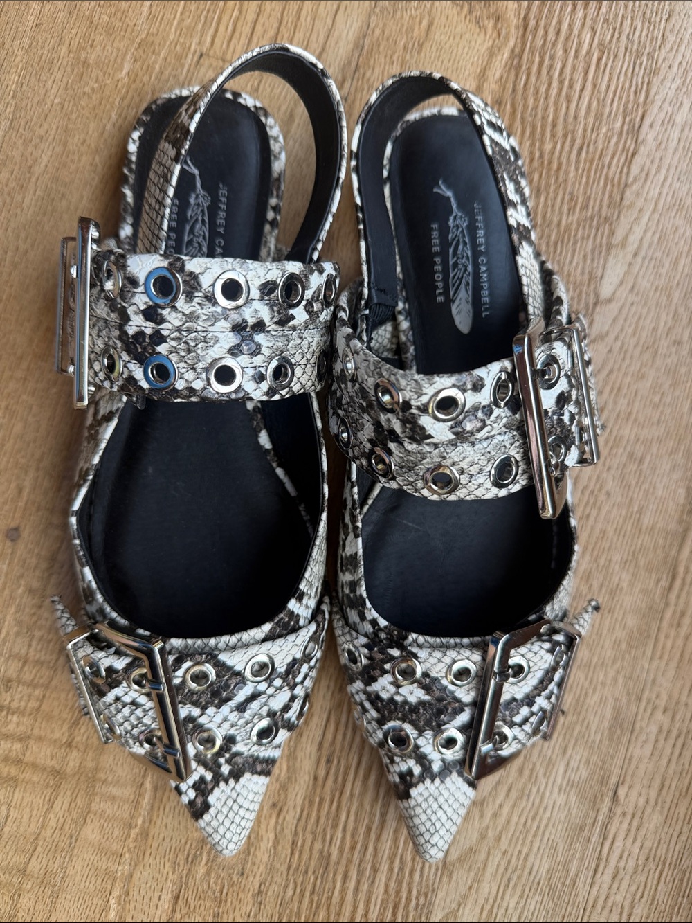 Free People Jeffrey Campbell White Black Snake-Print Buckle Pointed Flats
